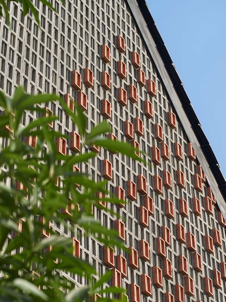 1692324295148301.jpg.jpg