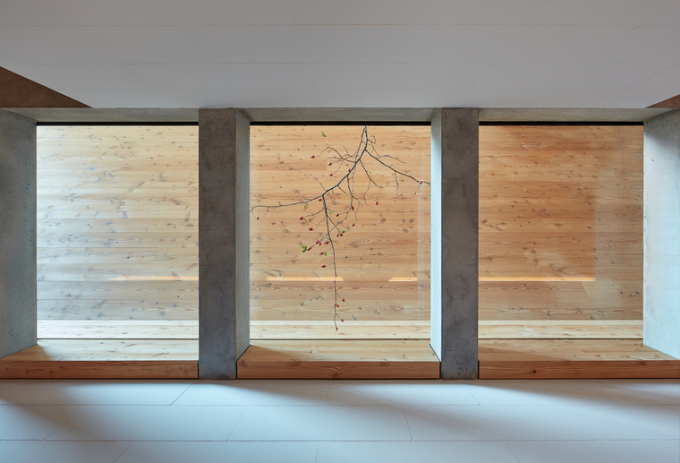 resize,w_760.jpg