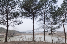武汉红砖房