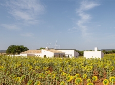 西班牙Zafra de Záncara住宅
