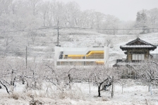 Hekida住宅