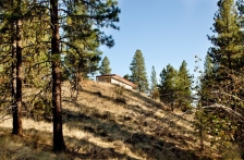 美国David Coleman的山丘小屋