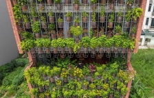 越南空中种植园