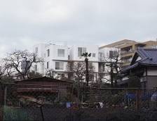 东京樱花综合公寓