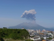 日本白洲白砂住宅