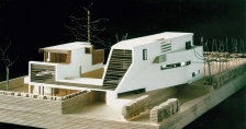 维特(Witt)住宅