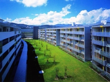 金井新城