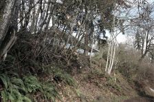 美国四合院